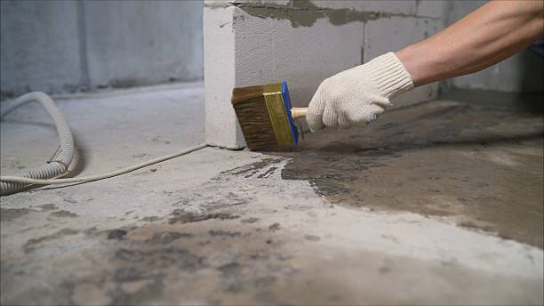 SJ Waterproofing Pros Waterproofing coverage map for Elora, TN and surrounding area